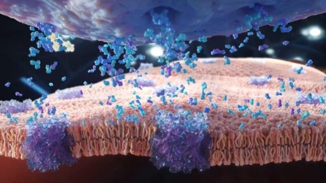 3D animated film — Alexion