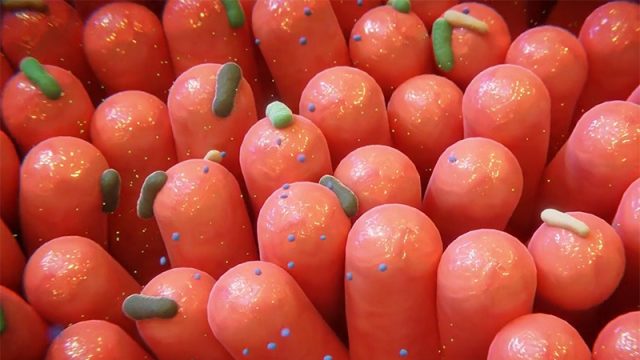 3D animated film — Berkem