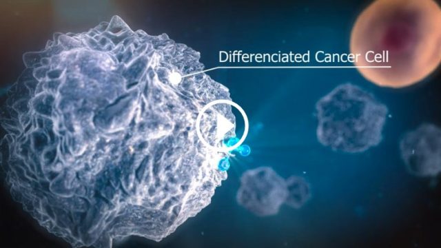 3D animated film — Genoscience