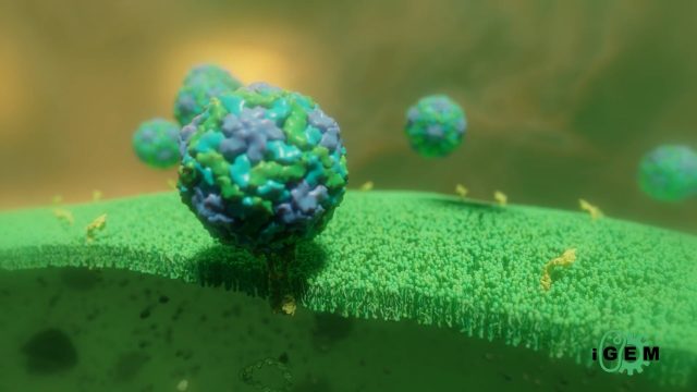 3D animated film — iGEM Aix-Marseille