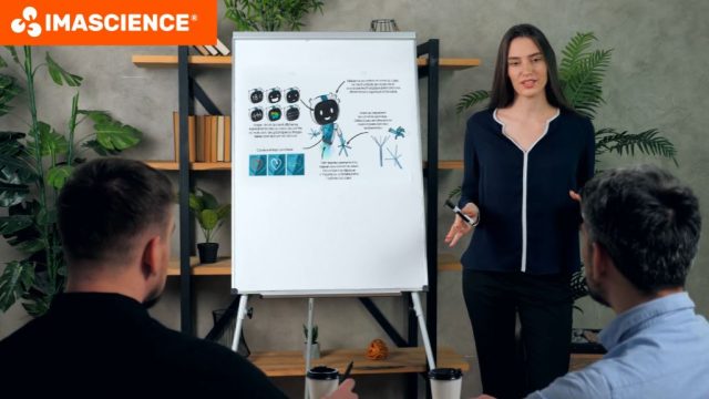 3D animated film — Imascience