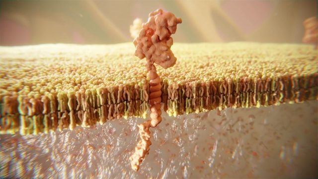 3D animated film — Janssen