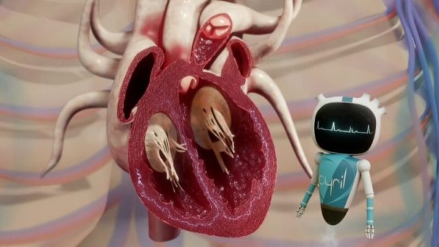 3D animated film — The Institute of Cardiac Rhythmology at the CHU