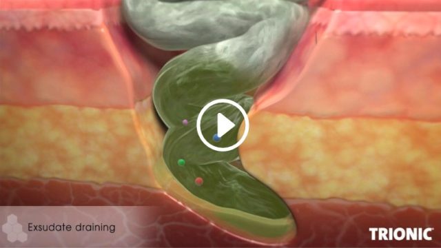3D animated film — Laboratoires Brothier