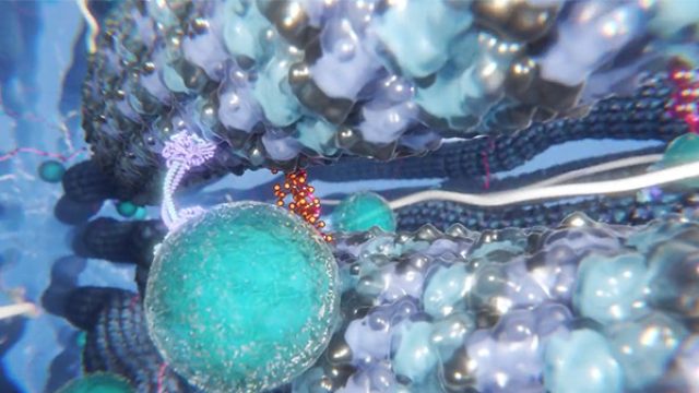 3D animated film — Mapreg
