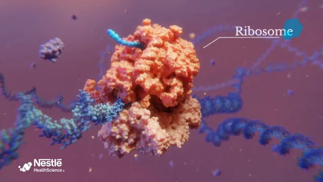 3D animated film — Nestlé Aging loss