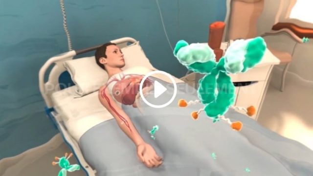3D animated film — Sanofi