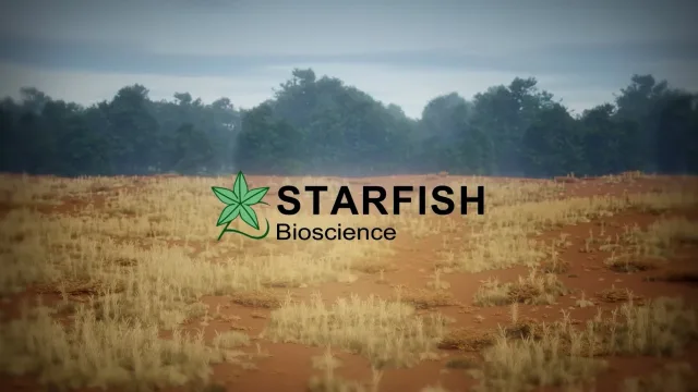 3D animated film — Starfish