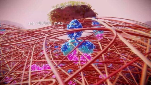 3D animated film — StromaCare