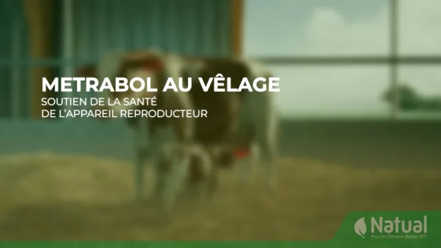 3D animated film — Techna-Metrabol