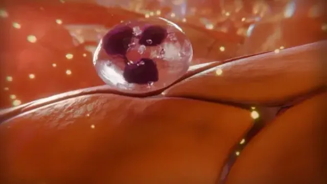 3D animated film — TECHNA