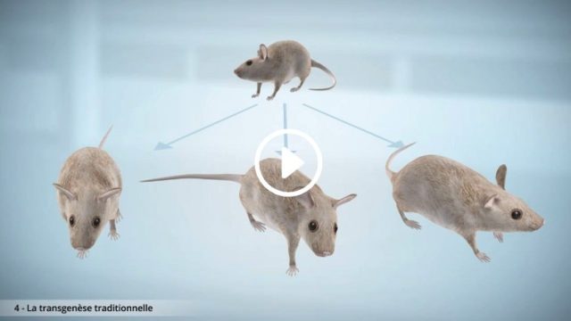 3D animated film — UPMC
